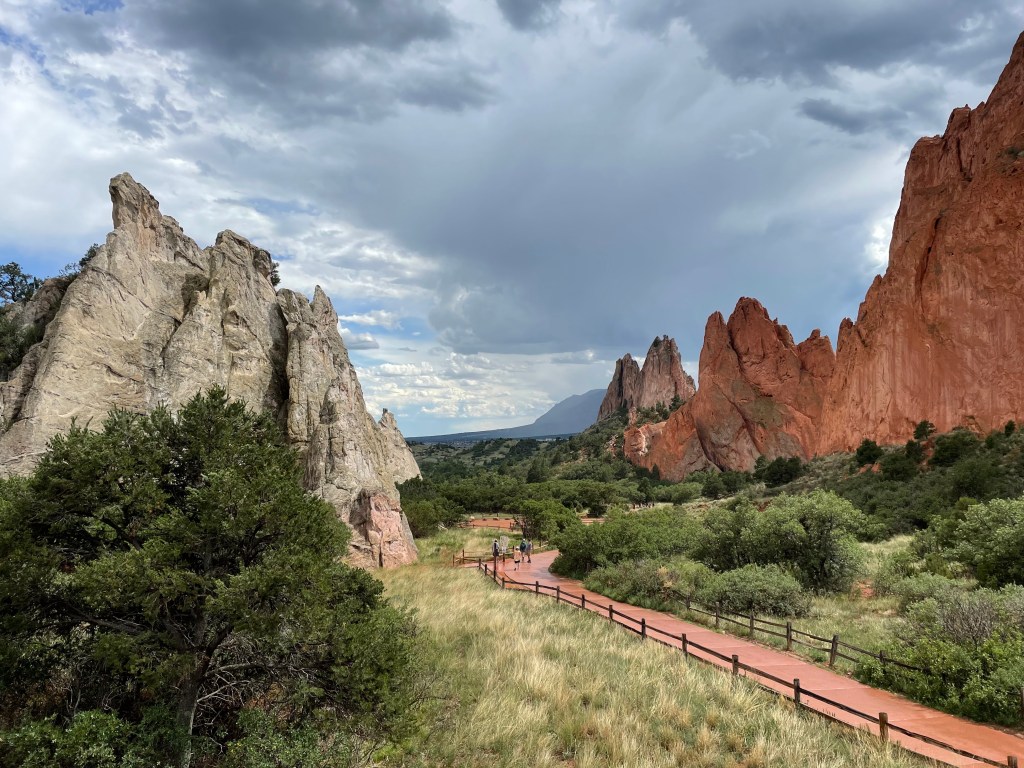 counselling and psychotherapy